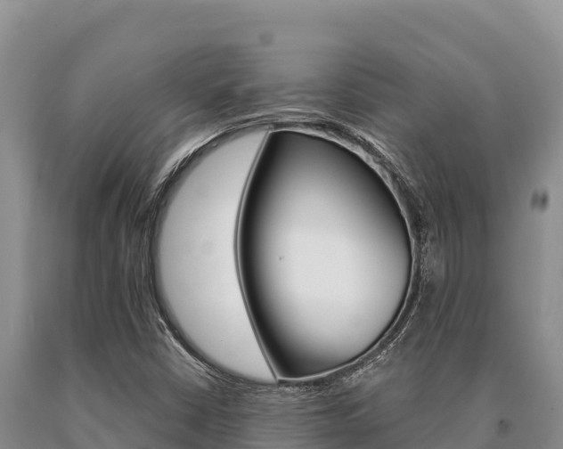 X0000091081402200708061035