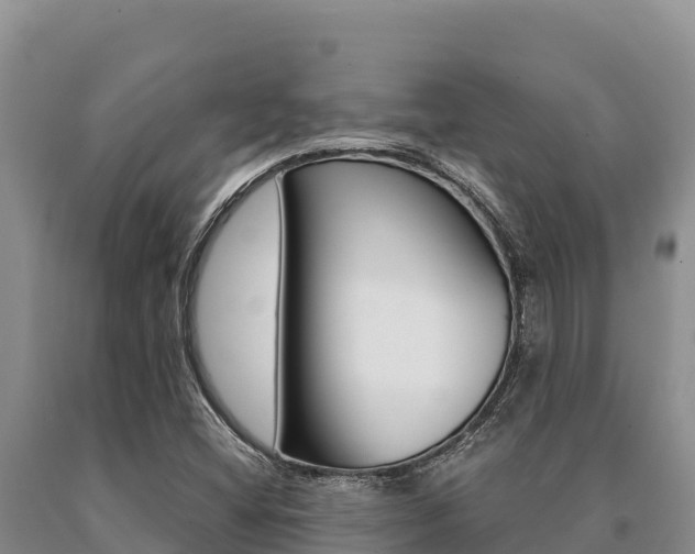X0000091081404200708061035