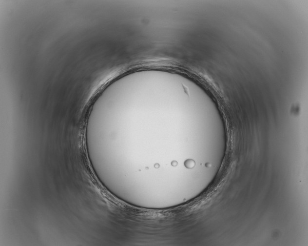 X0000091081405200708061035