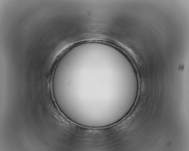 X0000091081407200708061035