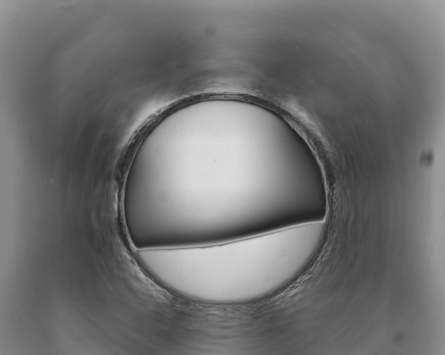 X0000091081408200708061035