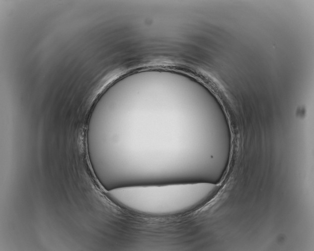 X0000091081409200708061035