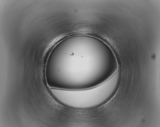 X0000091081410200708061035
