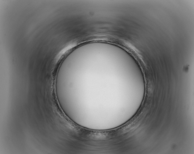 X0000091081411200708061035