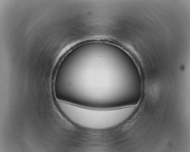 X0000091081412200708061035