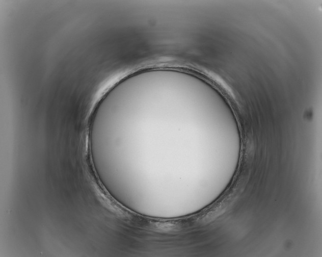 X0000091081413200708061035