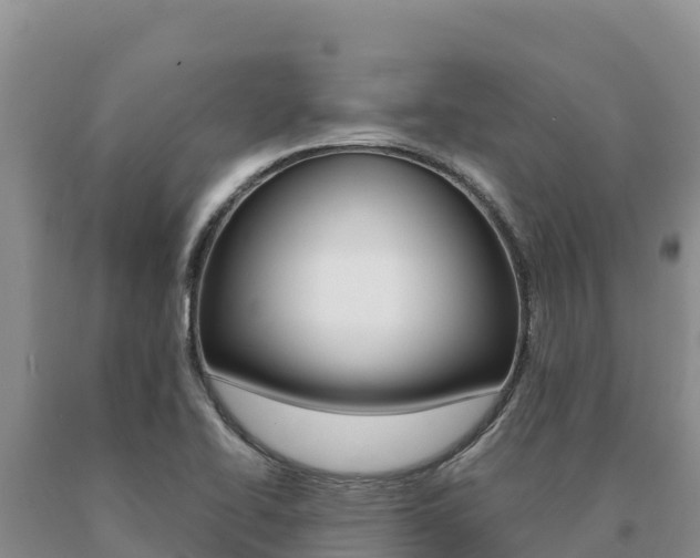 X0000091081414200708061035