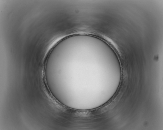 X0000091081415200708061035