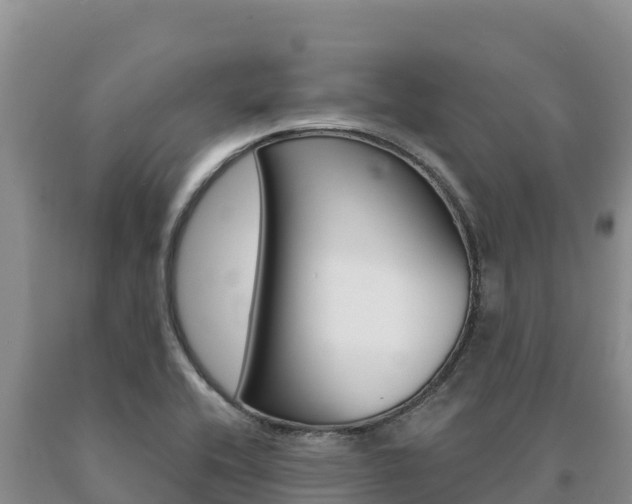 X0000091081416200708061035