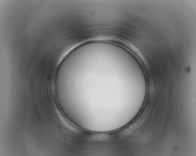 X0000091081417200708061035