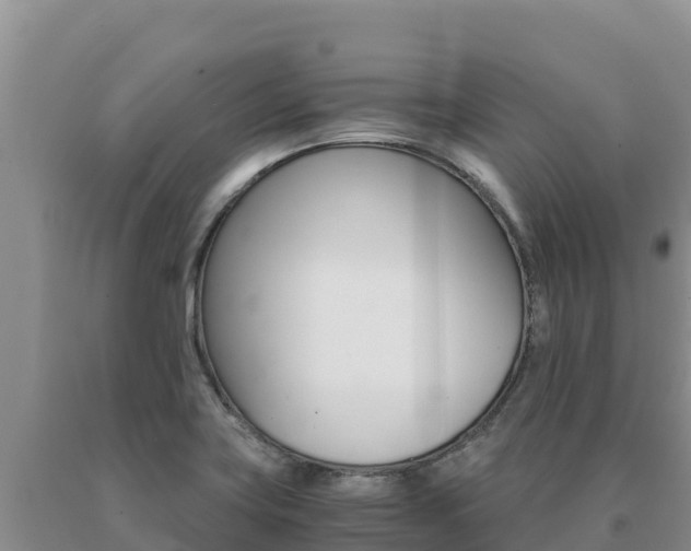 X0000091081419200708061035