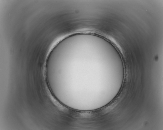 X0000091081421200708061035