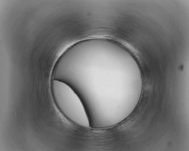 X0000091081423200708061035