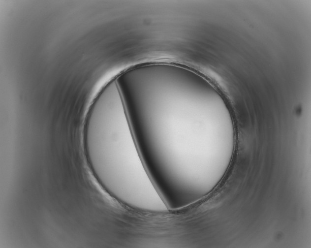 X0000091081424200708061035