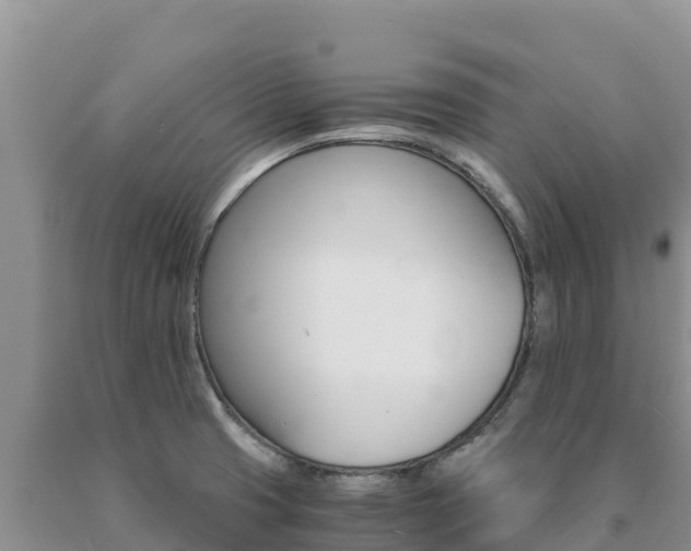 X0000091081425200708061035