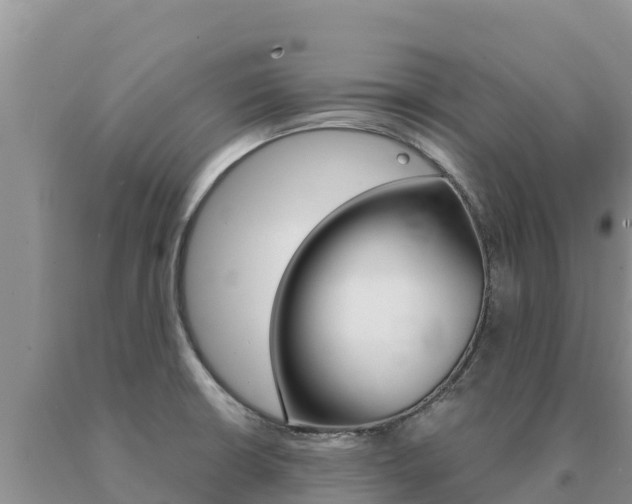 X0000091081426200708061035