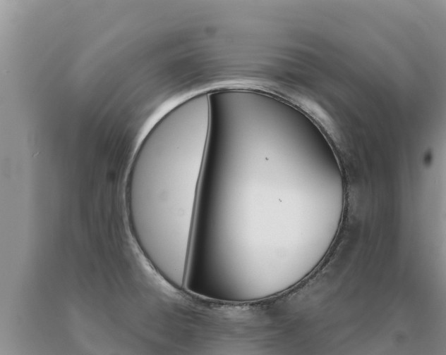 X0000091081428200708061035
