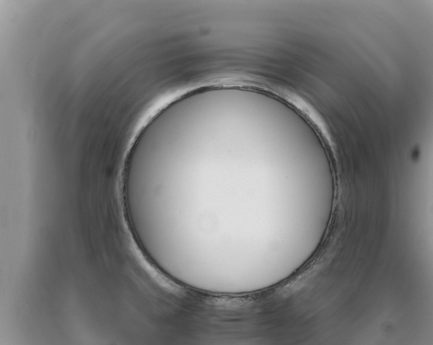 X0000091081429200708061035