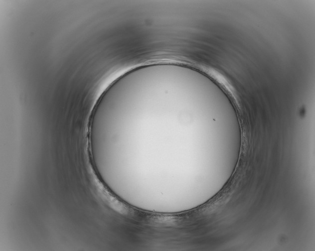 X0000091081431200708061035