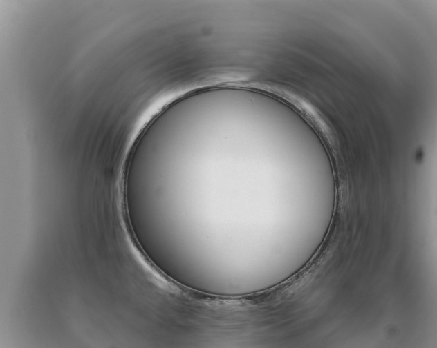 X0000091081432200708061035