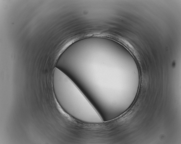 X0000091081433200708061035