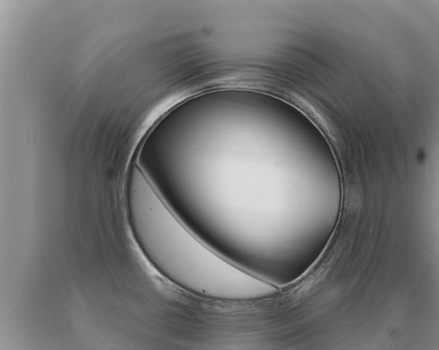 X0000091081434200708061035