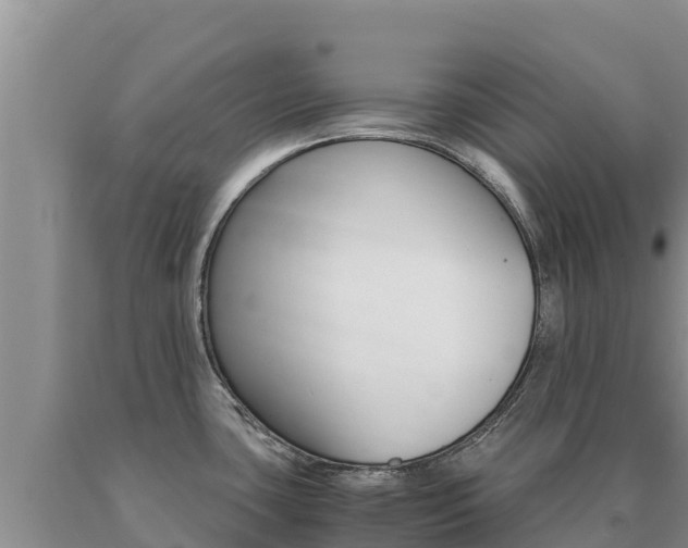 X0000091081435200708061035