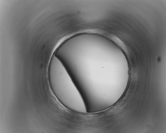 X0000091081436200708061035