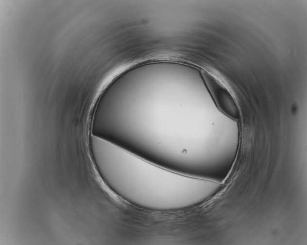X0000091081437200708061035