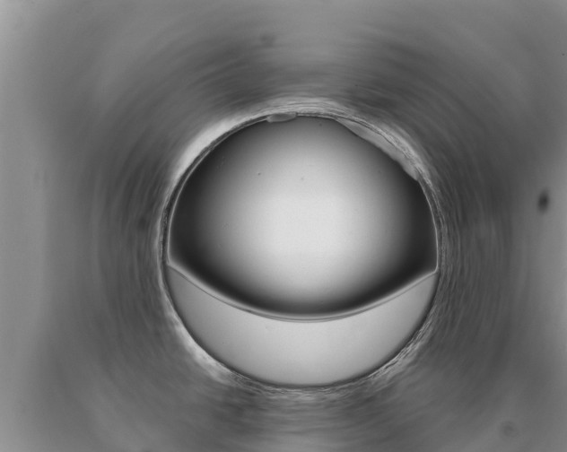 X0000091081438200708061035