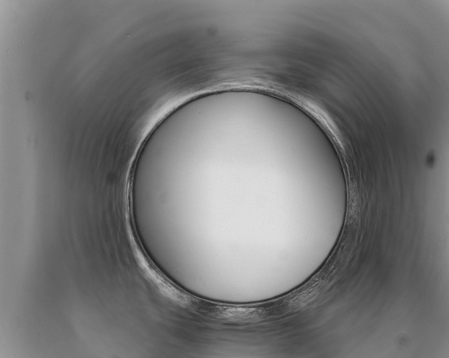 X0000091081439200708061035