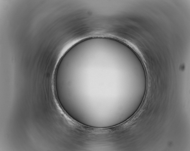 X0000091081440200708061035