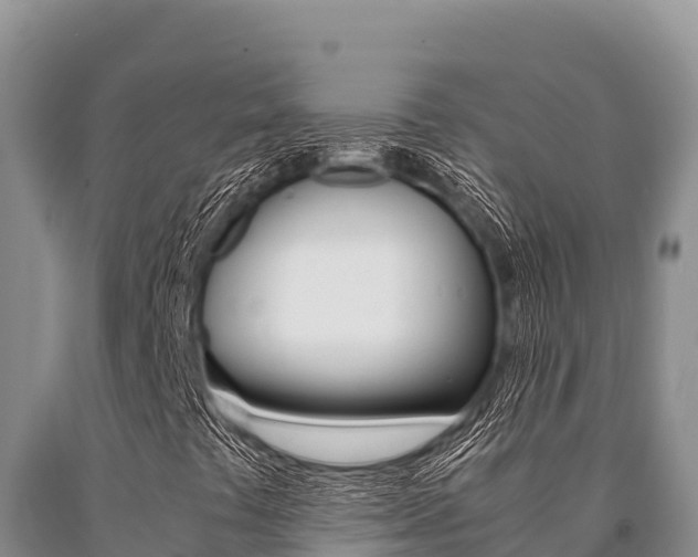 X0000091081441200708061035
