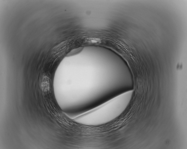 X0000091081442200708061035
