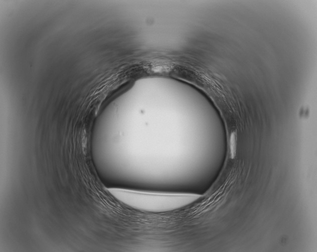 X0000091081443200708061035