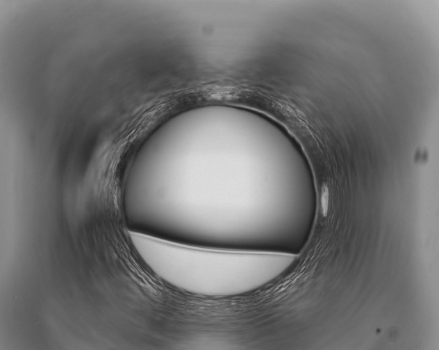 X0000091081444200708061035