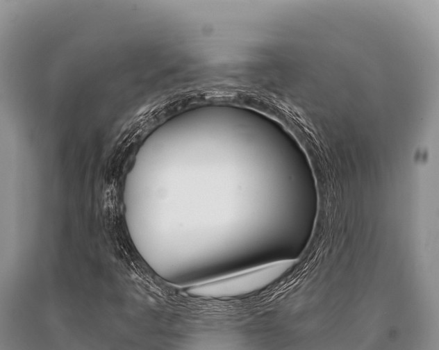 X0000091081445200708061035