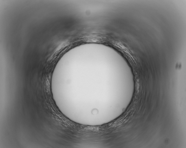 X0000091081446200708061035