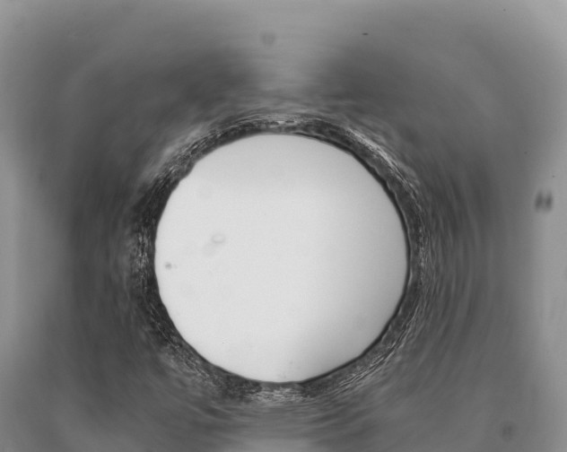 X0000091081447200708061035