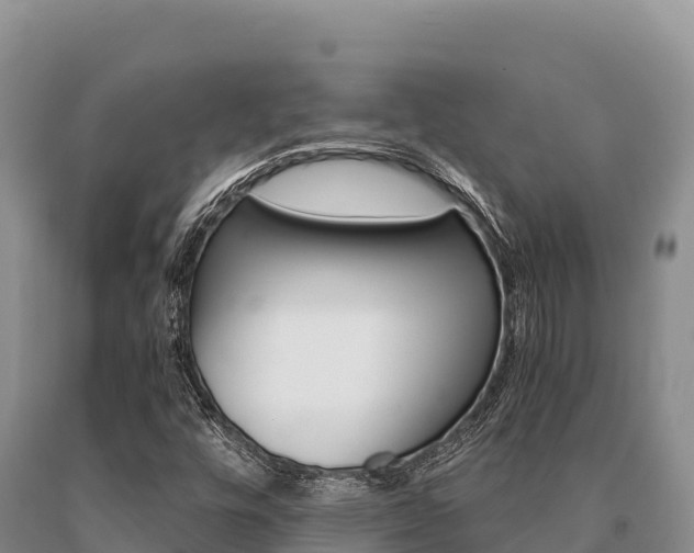 X0000091081448200708061035
