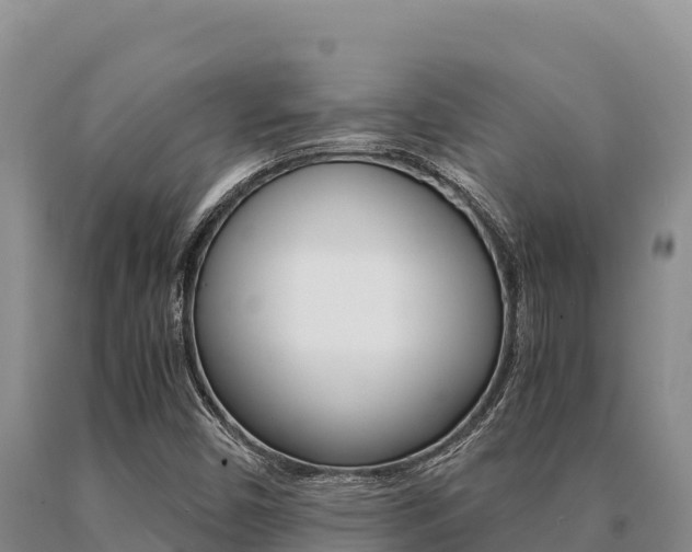 X0000091081450200708061035