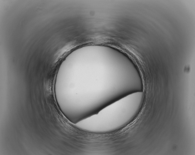 X0000091081451200708061035