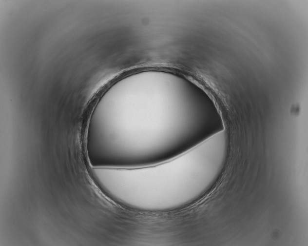 X0000091081452200708061035