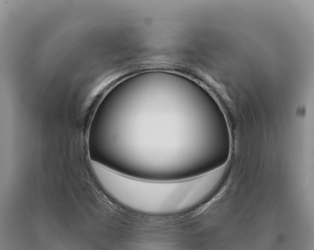 X0000091081453200708061035