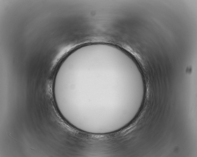 X0000091081454200708061035
