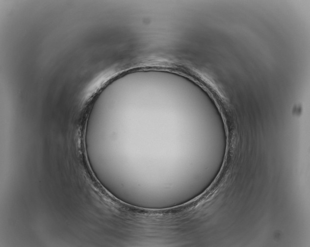 X0000091081455200708061035