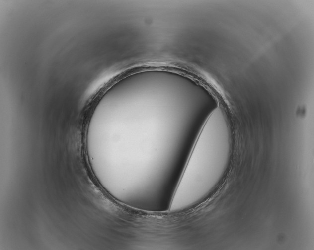 X0000091081456200708061035