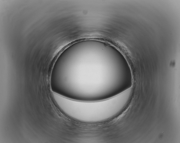 X0000091081457200708061035