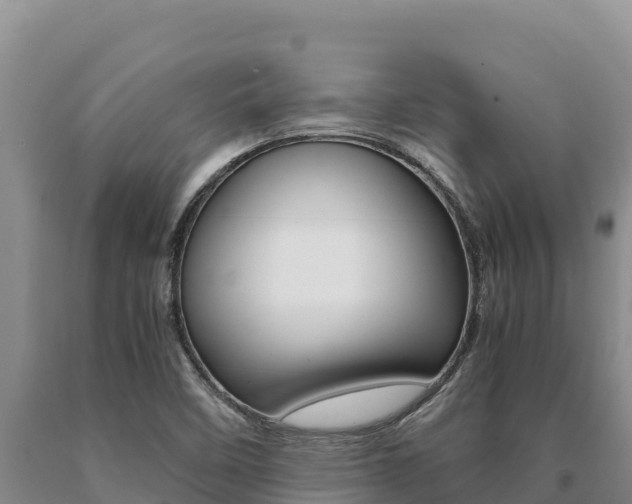 X0000091081458200708061035