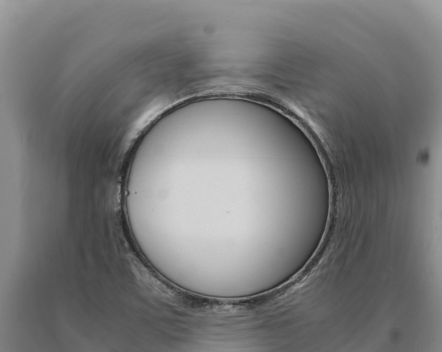 X0000091081459200708061035